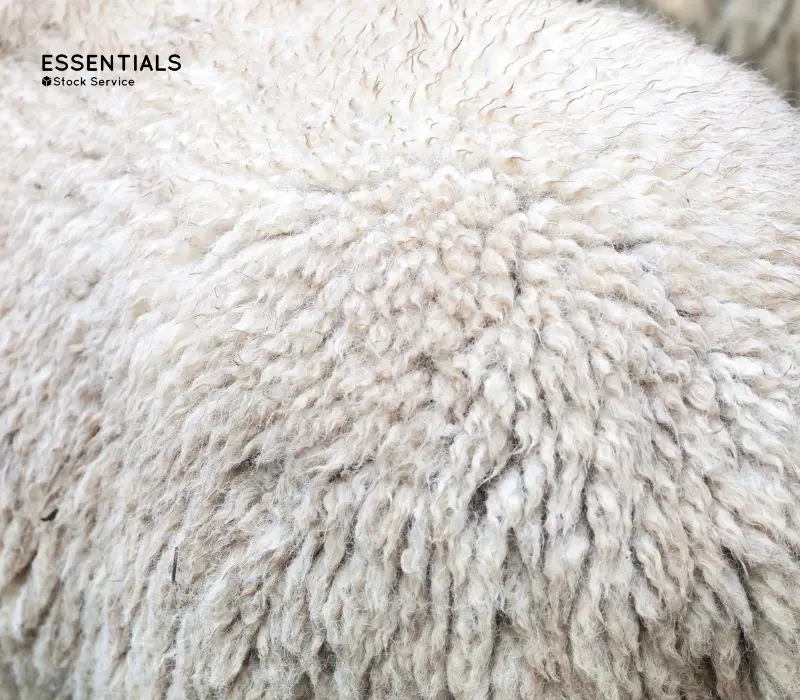 Lana Merino: La fibra natural más suave y duradera para tus Proyectos Textiles