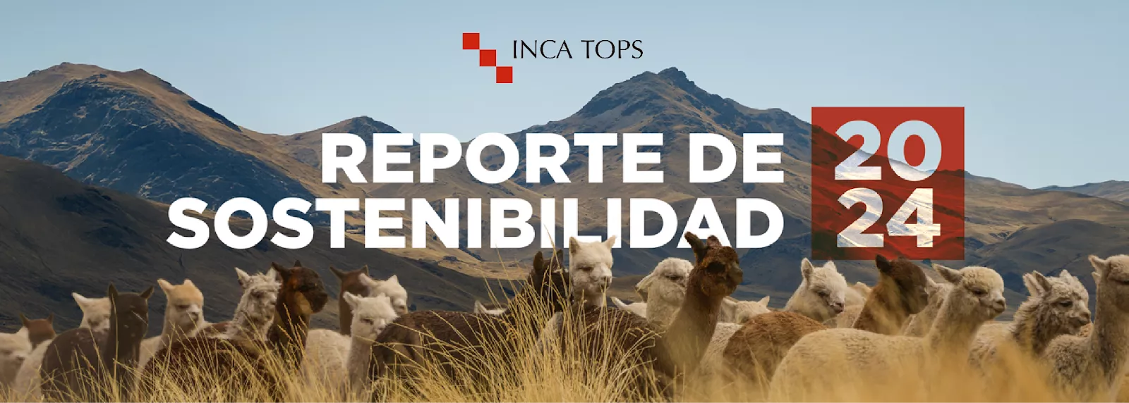 Reporte de sostenibilidad