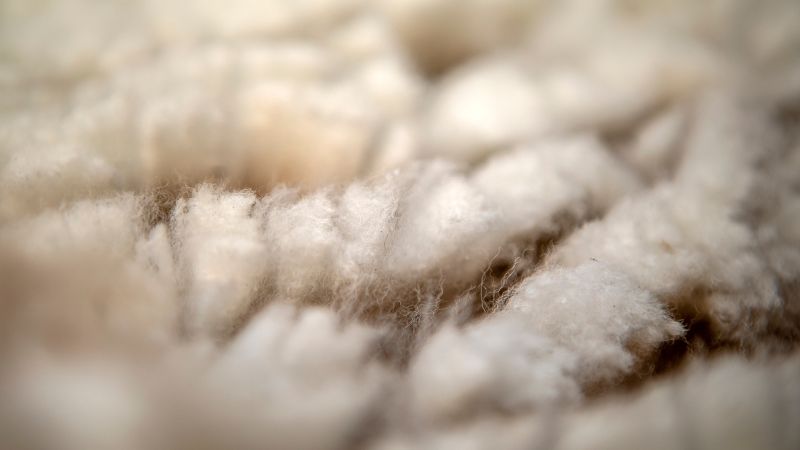 Por un lado la fibra de alpaca Por un lado la fibra de alpaca