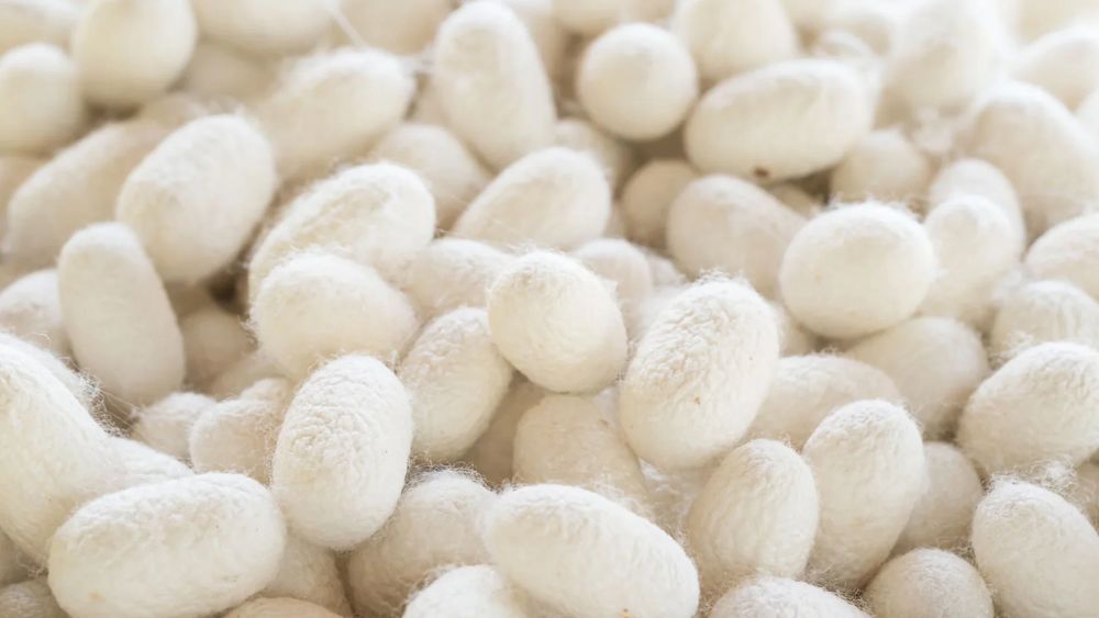 ¿Qué aporta la Mulberry Silk a esta mezcla? ¿Qué aporta la Mulberry Silk a esta mezcla?