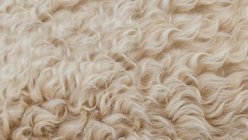 ¿Qué hace único al Kid Mohair? ¿Qué hace único al Kid Mohair?