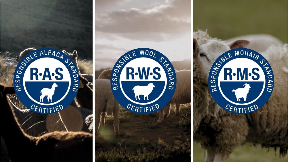 RAS - RWS - RMS